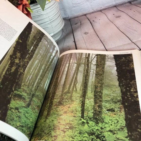 Vintage 1975 time life THE AMERICAN WILDERNESS_ The Southern Appalachans - Picture 8 of 8